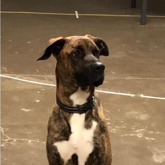 Meet your Posher, Kirsten - Picture 2 of 2